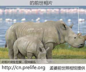 #孟婆前世照相馆# 【׿���� 的前世相片】我们都曾从奈何桥上走过，喝下三碗忘川之水烹煮的孟婆汤，忘却了前尘旧事。孟婆前世照相馆，保存着你前世的数码相片。׿���� 的前世相片，有图有真相：