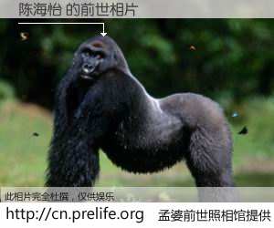 #孟婆前世照相馆# 【陈海怡 的前世相片】我们都曾从奈何桥上走过，喝下三碗忘川之水烹煮的孟婆汤，忘却了前尘旧事。孟婆前世照相馆，保存着你前世的数码相片。陈海怡 的前世相片，有图有真相：