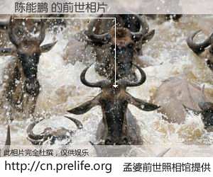 #孟婆前世照相馆# 【陈能鹏 的前世相片】我们都曾从奈何桥上走过，喝下三碗忘川之水烹煮的孟婆汤，忘却了前尘旧事。孟婆前世照相馆，保存着你前世的数码相片。陈能鹏 的前世相片，有图有真相：