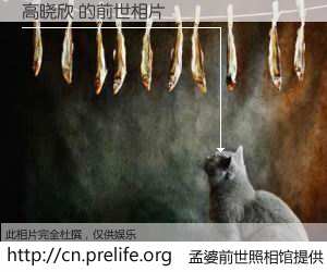 #孟婆前世照相馆# 【高晓欣 的前世相片】我们都曾从奈何桥上走过，喝下三碗忘川之水烹煮的孟婆汤，忘却了前尘旧事。孟婆前世照相馆，保存着你前世的数码相片。高晓欣 的前世相片，有图有真相：