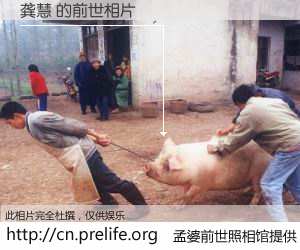 #孟婆前世照相馆# 【龚慧 的前世相片】我们都曾从奈何桥上走过，喝下三碗忘川之水烹煮的孟婆汤，忘却了前尘旧事。孟婆前世照相馆，保存着你前世的数码相片。龚慧 的前世相片，有图有真相：