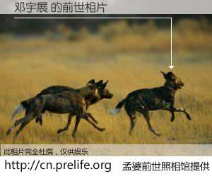 #孟婆前世照相馆# 【邓宇展 的前世相片】我们都曾从奈何桥上走过，喝下三碗忘川之水烹煮的孟婆汤，忘却了前尘旧事。孟婆前世照相馆，保存着你前世的数码相片。邓宇展 的前世相片，有图有真相：