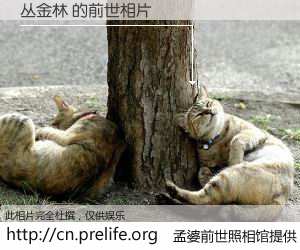 #孟婆前世照相馆# 【丛金林 的前世相片】我们都曾从奈何桥上走过，喝下三碗忘川之水烹煮的孟婆汤，忘却了前尘旧事。孟婆前世照相馆，保存着你前世的数码相片。丛金林 的前世相片，有图有真相：