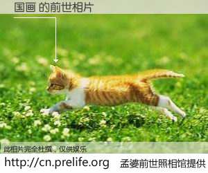 #孟婆前世照相馆# 【国画 的前世相片】我们都曾从奈何桥上走过，喝下三碗忘川之水烹煮的孟婆汤，忘却了前尘旧事。孟婆前世照相馆，保存着你前世的数码相片。国画 的前世相片，有图有真相：