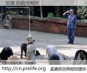 #孟婆前世照相馆# 【吐痰 的前世相片】我们都曾从奈何桥上走过，喝下三碗忘川之水烹煮的孟婆汤，忘却了前尘旧事。孟婆前世照相馆，保存着你前世的数码相片。吐痰 的前世相片，有图有真相：