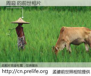 #孟婆前世照相馆# 【周迎 的前世相片】我们都曾从奈何桥上走过，喝下三碗忘川之水烹煮的孟婆汤，忘却了前尘旧事。孟婆前世照相馆，保存着你前世的数码相片。周迎 的前世相片，有图有真相：