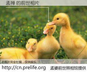 #孟婆前世照相馆# 【孟禅 的前世相片】我们都曾从奈何桥上走过，喝下三碗忘川之水烹煮的孟婆汤，忘却了前尘旧事。孟婆前世照相馆，保存着你前世的数码相片。孟禅 的前世相片，有图有真相：