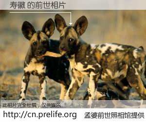 #孟婆前世照相馆# 【寿徽 的前世相片】我们都曾从奈何桥上走过，喝下三碗忘川之水烹煮的孟婆汤，忘却了前尘旧事。孟婆前世照相馆，保存着你前世的数码相片。寿徽 的前世相片，有图有真相：