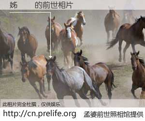 #孟婆前世照相馆# 【姊呯悰 的前世相片】我们都曾从奈何桥上走过，喝下三碗忘川之水烹煮的孟婆汤，忘却了前尘旧事。孟婆前世照相馆，保存着你前世的数码相片。姊呯悰 的前世相片，有图有真相：