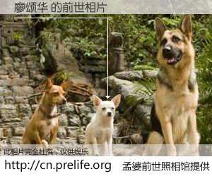 #孟婆前世照相馆# 【廖颂华 的前世相片】我们都曾从奈何桥上走过，喝下三碗忘川之水烹煮的孟婆汤，忘却了前尘旧事。孟婆前世照相馆，保存着你前世的数码相片。廖颂华 的前世相片，有图有真相：