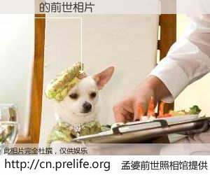 #孟婆前世照相馆# 【張燿 的前世相片】我们都曾从奈何桥上走过，喝下三碗忘川之水烹煮的孟婆汤，忘却了前尘旧事。孟婆前世照相馆，保存着你前世的数码相片。張燿 的前世相片，有图有真相：