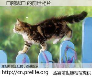 #孟婆前世照相馆# 【口随思口 的前世相片】我们都曾从奈何桥上走过，喝下三碗忘川之水烹煮的孟婆汤，忘却了前尘旧事。孟婆前世照相馆，保存着你前世的数码相片。口随思口 的前世相片，有图有真相：