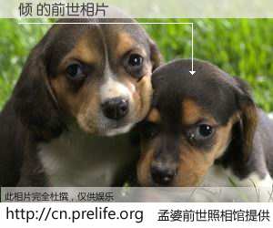 #孟婆前世照相馆# 【倾 的前世相片】我们都曾从奈何桥上走过，喝下三碗忘川之水烹煮的孟婆汤，忘却了前尘旧事。孟婆前世照相馆，保存着你前世的数码相片。倾 的前世相片，有图有真相：