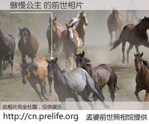 #孟婆前世照相馆# 【傲慢公主 的前世相片】我们都曾从奈何桥上走过，喝下三碗忘川之水烹煮的孟婆汤，忘却了前尘旧事。孟婆前世照相馆，保存着你前世的数码相片。傲慢公主 的前世相片，有图有真相：