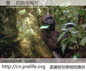 #孟婆前世照相馆# 【曹琲 的前世相片】我们都曾从奈何桥上走过，喝下三碗忘川之水烹煮的孟婆汤，忘却了前尘旧事。孟婆前世照相馆，保存着你前世的数码相片。曹琲 的前世相片，有图有真相：