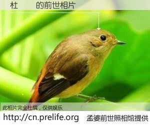 #孟婆前世照相馆# 【杜國業 的前世相片】我们都曾从奈何桥上走过，喝下三碗忘川之水烹煮的孟婆汤，忘却了前尘旧事。孟婆前世照相馆，保存着你前世的数码相片。杜國業 的前世相片，有图有真相：