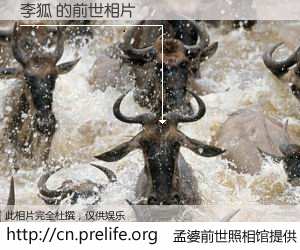 #孟婆前世照相馆# 【李狐 的前世相片】我们都曾从奈何桥上走过，喝下三碗忘川之水烹煮的孟婆汤，忘却了前尘旧事。孟婆前世照相馆，保存着你前世的数码相片。李狐 的前世相片，有图有真相：