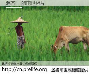 #孟婆前世照相馆# 【涓芥棴 的前世相片】我们都曾从奈何桥上走过，喝下三碗忘川之水烹煮的孟婆汤，忘却了前尘旧事。孟婆前世照相馆，保存着你前世的数码相片。涓芥棴 的前世相片，有图有真相：