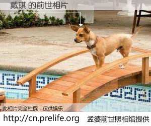 #孟婆前世照相馆# 【戴琪 的前世相片】我们都曾从奈何桥上走过，喝下三碗忘川之水烹煮的孟婆汤，忘却了前尘旧事。孟婆前世照相馆，保存着你前世的数码相片。戴琪 的前世相片，有图有真相：