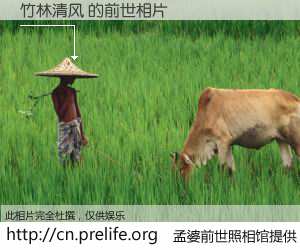 #孟婆前世照相馆# 【竹林清风 的前世相片】我们都曾从奈何桥上走过，喝下三碗忘川之水烹煮的孟婆汤，忘却了前尘旧事。孟婆前世照相馆，保存着你前世的数码相片。竹林清风 的前世相片，有图有真相：