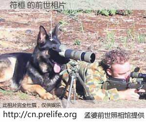 #孟婆前世照相馆# 【符桓 的前世相片】我们都曾从奈何桥上走过，喝下三碗忘川之水烹煮的孟婆汤，忘却了前尘旧事。孟婆前世照相馆，保存着你前世的数码相片。符桓 的前世相片，有图有真相：