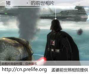 #孟婆前世照相馆# 【猪🐷 的前世相片】我们都曾从奈何桥上走过，喝下三碗忘川之水烹煮的孟婆汤，忘却了前尘旧事。孟婆前世照相馆，保存着你前世的数码相片。猪🐷 的前世相片，有图有真相：