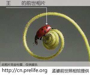 #孟婆前世照相馆# 【王傳暉 的前世相片】我们都曾从奈何桥上走过，喝下三碗忘川之水烹煮的孟婆汤，忘却了前尘旧事。孟婆前世照相馆，保存着你前世的数码相片。王傳暉 的前世相片，有图有真相：