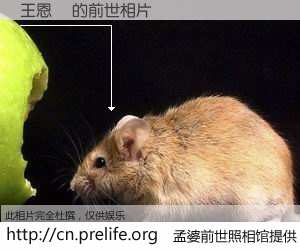#孟婆前世照相馆# 【王恩閔 的前世相片】我们都曾从奈何桥上走过，喝下三碗忘川之水烹煮的孟婆汤，忘却了前尘旧事。孟婆前世照相馆，保存着你前世的数码相片。王恩閔 的前世相片，有图有真相：