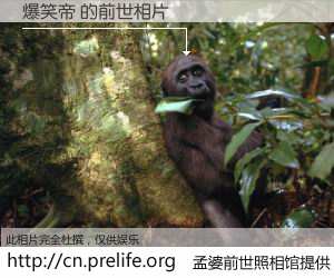 #孟婆前世照相馆# 【爆笑帝 的前世相片】我们都曾从奈何桥上走过，喝下三碗忘川之水烹煮的孟婆汤，忘却了前尘旧事。孟婆前世照相馆，保存着你前世的数码相片。爆笑帝 的前世相片，有图有真相：