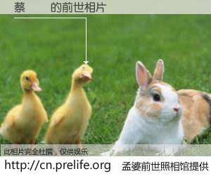 #孟婆前世照相馆# 【蔡穎犧 的前世相片】我们都曾从奈何桥上走过，喝下三碗忘川之水烹煮的孟婆汤，忘却了前尘旧事。孟婆前世照相馆，保存着你前世的数码相片。蔡穎犧 的前世相片，有图有真相：