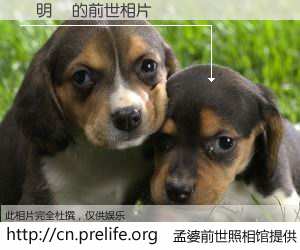 #孟婆前世照相馆# 【謝明燈 的前世相片】我们都曾从奈何桥上走过，喝下三碗忘川之水烹煮的孟婆汤，忘却了前尘旧事。孟婆前世照相馆，保存着你前世的数码相片。謝明燈 的前世相片，有图有真相：