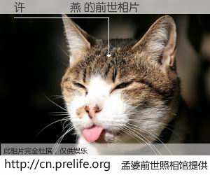 #孟婆前世照相馆# 【许𣇈燕 的前世相片】我们都曾从奈何桥上走过，喝下三碗忘川之水烹煮的孟婆汤，忘却了前尘旧事。孟婆前世照相馆，保存着你前世的数码相片。许𣇈燕 的前世相片，有图有真相：