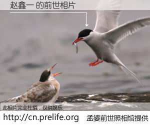 #孟婆前世照相馆# 【赵鑫一 的前世相片】我们都曾从奈何桥上走过，喝下三碗忘川之水烹煮的孟婆汤，忘却了前尘旧事。孟婆前世照相馆，保存着你前世的数码相片。赵鑫一 的前世相片，有图有真相：