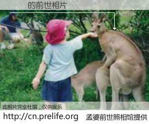 #孟婆前世照相馆# 【趙瑤 的前世相片】我们都曾从奈何桥上走过，喝下三碗忘川之水烹煮的孟婆汤，忘却了前尘旧事。孟婆前世照相馆，保存着你前世的数码相片。趙瑤 的前世相片，有图有真相：