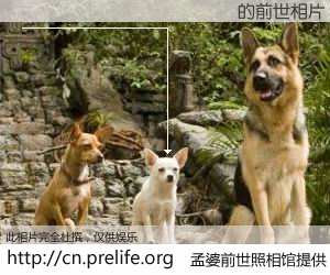 #孟婆前世照相馆# 【🖌🖌🖌 的前世相片】我们都曾从奈何桥上走过，喝下三碗忘川之水烹煮的孟婆汤，忘却了前尘旧事。孟婆前世照相馆，保存着你前世的数码相片。🖌🖌🖌 的前世相片，有图有真相：