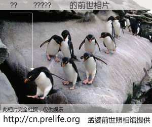 #åŸå©†å‰ä¸–照相馆# ã€??¡¥?????¡ã çš„å‰ä¸–相片】我们都曾从奈何桥上走过,å–下三碗忘å·ä¹‹æ°´çƒ¹ç…®çš„åŸå©†æ±¤ï¼Œå¿˜å´äº†å‰å°˜æ—§äº‹ã€‚åŸå©†å‰ä¸–照相馆,ä¿å˜ç€ä½ å‰ä¸–的数ç 相片。??¡¥?????¡ã çš„å‰ä¸–相片,有图有真相: