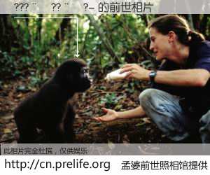 #孟婆前世照相馆# 【???��??��?- 的前世相片】我们都曾从奈何桥上走过，喝下三碗忘川之水烹煮的孟婆汤，忘却了前尘旧事。孟婆前世照相馆，保存着你前世的数码相片。???��??��?- 的前世相片，有图有真相：