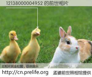 #孟婆前世照相馆# 【12138000004952 的前世相片】我们都曾从奈何桥上走过，喝下三碗忘川之水烹煮的孟婆汤，忘却了前尘旧事。孟婆前世照相馆，保存着你前世的数码相片。12138000004952 的前世相片，有图有真相：