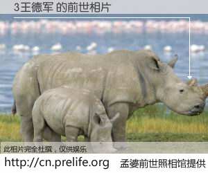 #孟婆前世照相馆# 【3王德军 的前世相片】我们都曾从奈何桥上走过，喝下三碗忘川之水烹煮的孟婆汤，忘却了前尘旧事。孟婆前世照相馆，保存着你前世的数码相片。3王德军 的前世相片，有图有真相：