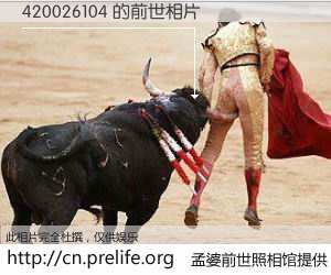 #孟婆前世照相馆# 【420026104 的前世相片】我们都曾从奈何桥上走过，喝下三碗忘川之水烹煮的孟婆汤，忘却了前尘旧事。孟婆前世照相馆，保存着你前世的数码相片。420026104 的前世相片，有图有真相：