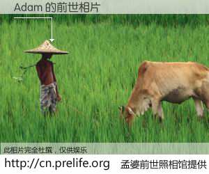 #孟婆前世照相馆# 【Adam 的前世相片】我们都曾从奈何桥上走过，喝下三碗忘川之水烹煮的孟婆汤，忘却了前尘旧事。孟婆前世照相馆，保存着你前世的数码相片。Adam 的前世相片，有图有真相：