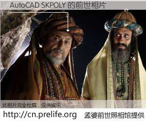 #孟婆前世照相馆# 【AutoCAD SKPOLY 的前世相片】我们都曾从奈何桥上走过，喝下三碗忘川之水烹煮的孟婆汤，忘却了前尘旧事。孟婆前世照相馆，保存着你前世的数码相片。AutoCAD SKPOLY 的前世相片，有图有真相：