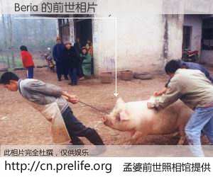 #孟婆前世照相馆# 【Beria 的前世相片】我们都曾从奈何桥上走过，喝下三碗忘川之水烹煮的孟婆汤，忘却了前尘旧事。孟婆前世照相馆，保存着你前世的数码相片。Beria 的前世相片，有图有真相：