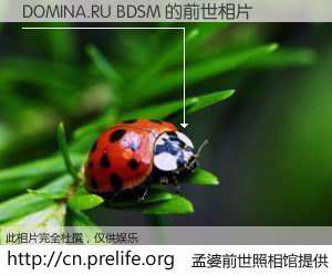 #孟婆前世照相馆# 【DOMINA.RU BDSM 的前世相片】我们都曾从奈何桥上走过，喝下三碗忘川之水烹煮的孟婆汤，忘却了前尘旧事。孟婆前世照相馆，保存着你前世的数码相片。DOMINA.RU BDSM 的前世相片，有图有真相：