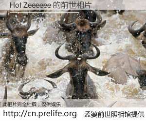 #孟婆前世照相馆# 【Hot Zeeeeee 的前世相片】我们都曾从奈何桥上走过，喝下三碗忘川之水烹煮的孟婆汤，忘却了前尘旧事。孟婆前世照相馆，保存着你前世的数码相片。Hot Zeeeeee 的前世相片，有图有真相：