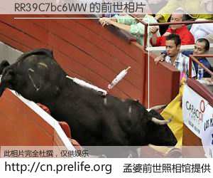 #孟婆前世照相馆# 【RR39C7bc6WW 的前世相片】我们都曾从奈何桥上走过,喝下三碗忘川之水烹煮的孟婆汤,忘却了前尘旧事。孟婆前世照相馆,保存着你前世的数码相片。RR39C7bc6WW 的前世相片,有图有真相: