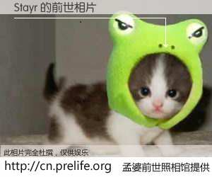 #孟婆前世照相馆# 【Stayr 的前世相片】我们都曾从奈何桥上走过，喝下三碗忘川之水烹煮的孟婆汤，忘却了前尘旧事。孟婆前世照相馆，保存着你前世的数码相片。Stayr 的前世相片，有图有真相：