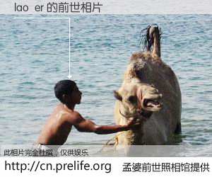 #孟婆前世照相馆# 【lao  er 的前世相片】我们都曾从奈何桥上走过，喝下三碗忘川之水烹煮的孟婆汤，忘却了前尘旧事。孟婆前世照相馆，保存着你前世的数码相片。lao  er 的前世相片，有图有真相：