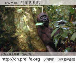 #孟婆前世照相馆# 【owly out 的前世相片】我们都曾从奈何桥上走过，喝下三碗忘川之水烹煮的孟婆汤，忘却了前尘旧事。孟婆前世照相馆，保存着你前世的数码相片。owly out 的前世相片，有图有真相：