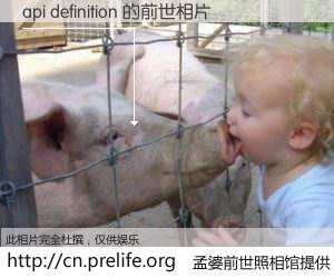 #孟婆前世照相馆# 【api definition 的前世相片】我们都曾从奈何桥上走过，喝下三碗忘川之水烹煮的孟婆汤，忘却了前尘旧事。孟婆前世照相馆，保存着你前世的数码相片。api definition 的前世相片，有图有真相：